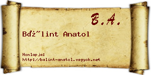Bálint Anatol névjegykártya